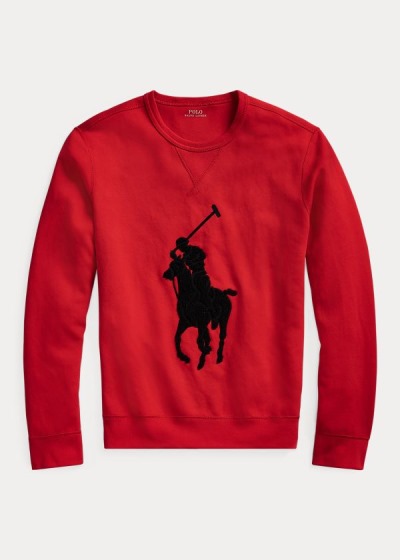 Polo Ralph Lauren Big Pony Sweatshirt Herre Danmark (XHFCP6012)